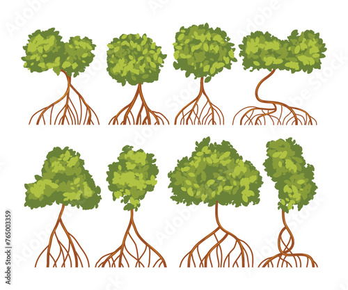 Set of mangrove tree collection with roots and green leaves,  isolated on white background, Mangrove Plant Tree for Garden Park Conservation, vector illustration.