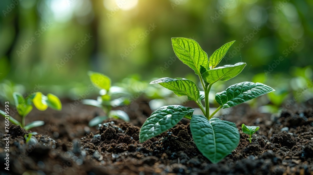 Earth conservation animations depicting the beauty of renewable energy