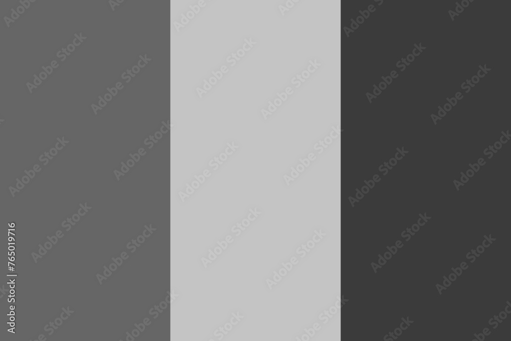 Romania flag - greyscale monochrome vector illustration. Flag in black and white
