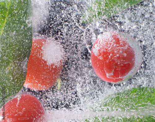 the abstract background of the ice structure, fruits, leaves