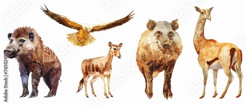 Enchanting watercolor collection of safari animals clipart, including a curious meerkat, a loyal warthog, a majestic eagle, and a nimble gazelle, perfectly isolated against a white background.