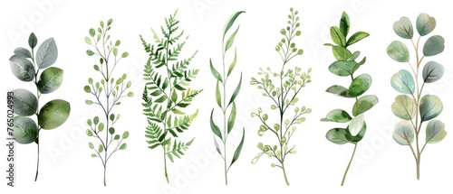 Lush watercolor clipart set of greenery, featuring delicate fern leaves, eucalyptus branches, and mistletoe twigs, isolated on a white background for freshness.