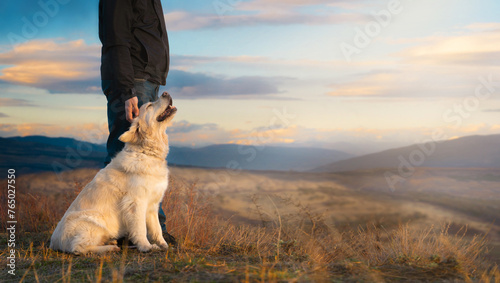 Fotografía A happy golden retriever enjoys being petted on a mountain peak at sunset