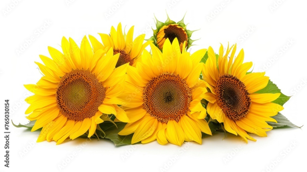 Naklejka premium beautiful sunflowers on white background in high resolution and quality