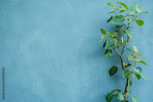 Plant against a blue wall background with copy space.