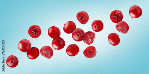 Fresh red cranberries flying on light blue background