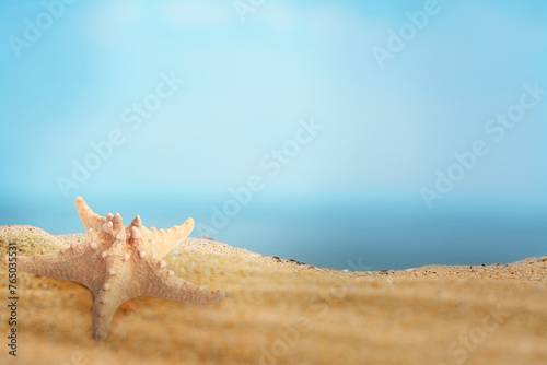 Fototapeta Naklejka Na Ścianę i Meble -  Starfish on sandy beach near sea, space for text