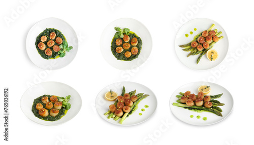 Set of different dishes with scallops isolated on white, top and side views