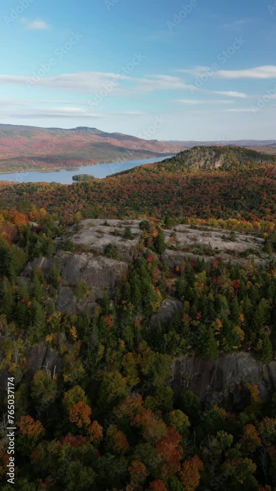 Aerial view of forests in nature in the autumn season, Canada Aerial view of forests in nature in the autumn season, Canada