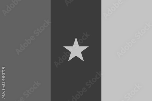 Cameroon flag - greyscale monochrome vector illustration. Flag in black and white