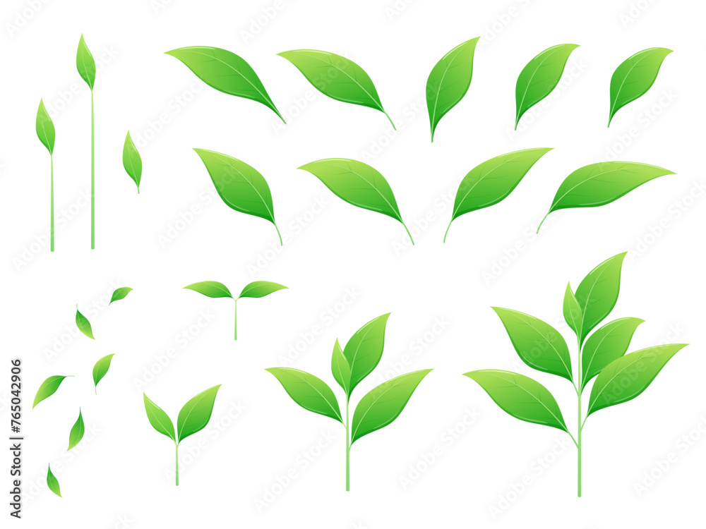 植物の芽の成長と葉っぱのパーツの素材セット
