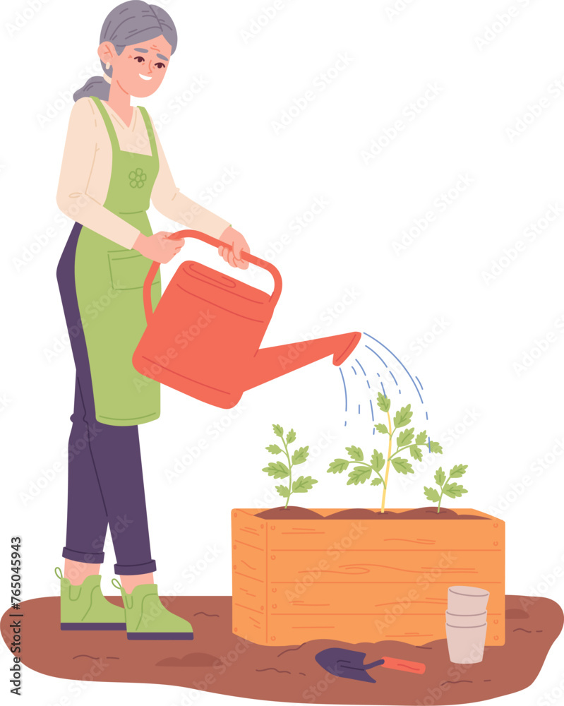 Old woman watering plants from can. Gardening illustration Old woman watering plants from can. Gardening illustration