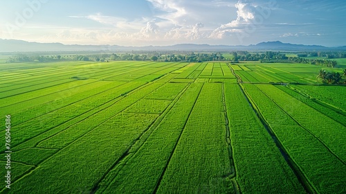 Aerial View of Large Green Field photo