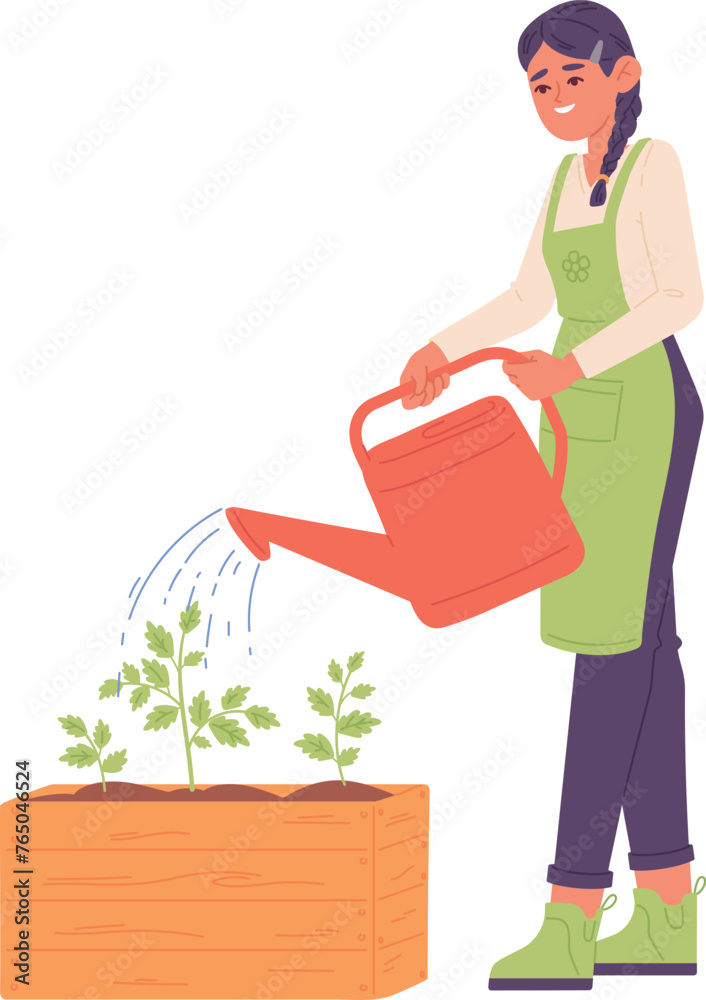 Plant seedlings in wooden box. Gardener watering soil Plant seedlings in wooden box. Gardener watering soil