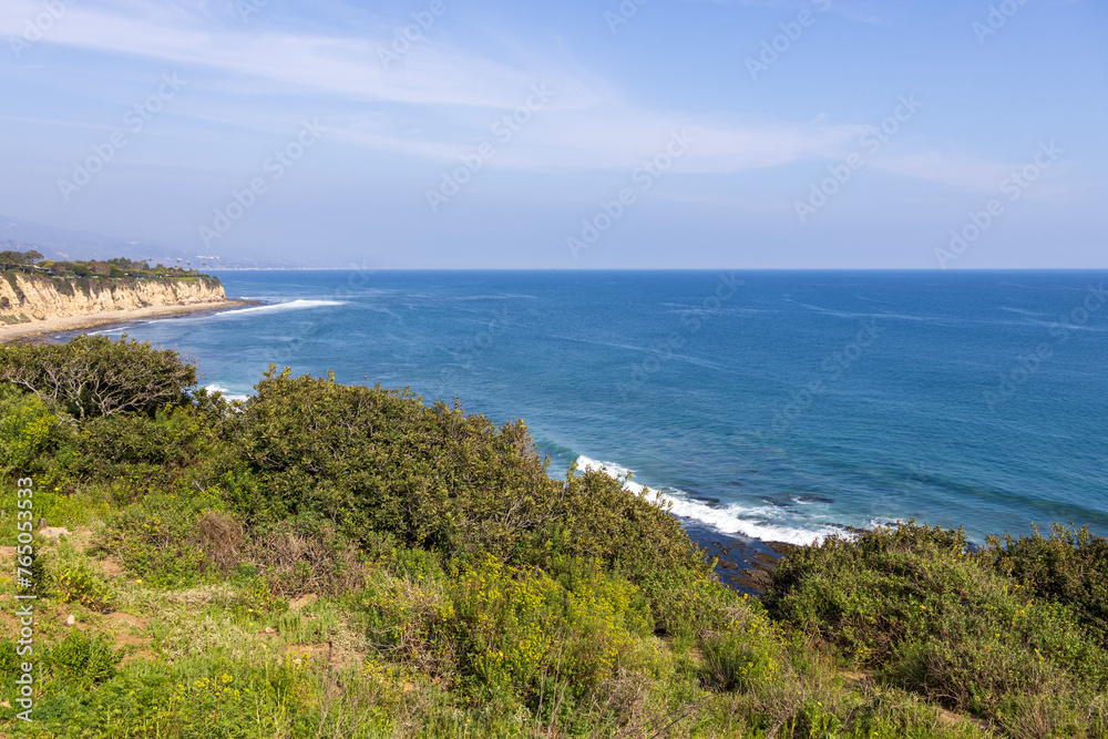 a beautiful spring landscape at Point Dume beach with blue ocean water, lush green trees and plants, homes along the cliffs, waves, blue sky and clouds in Malibu California USA