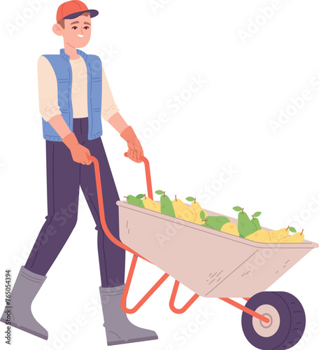 Happy farmer with wheelbarrow full of pears. Autumn harvest
