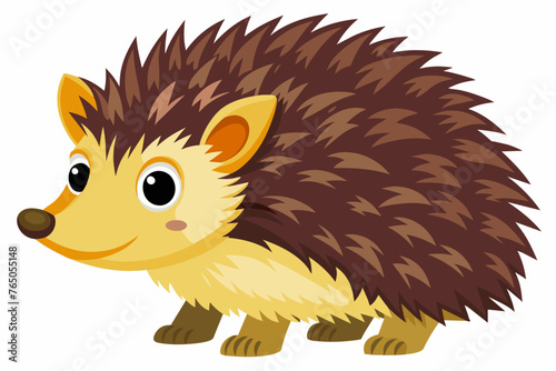 hedgehog isolated on white background