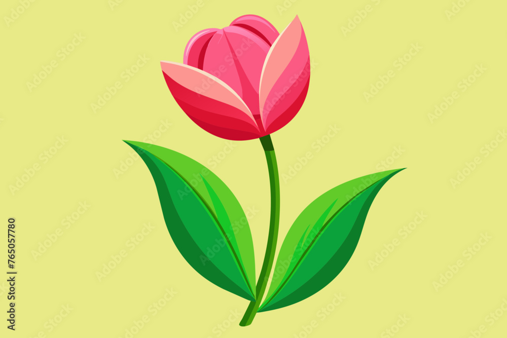Fototapeta premium pink tulip with green leaves