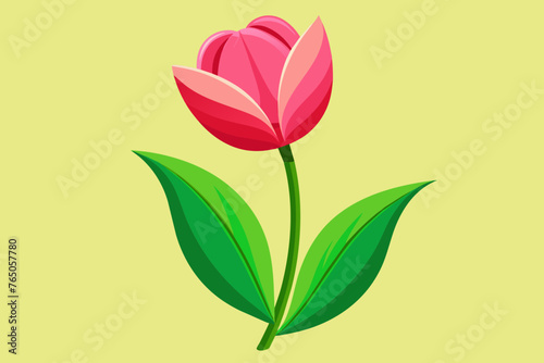 pink tulip with green leaves