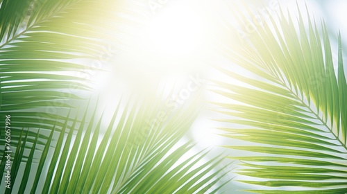 Double exposure of palm branches and sunny shadows on white background for artistic effect