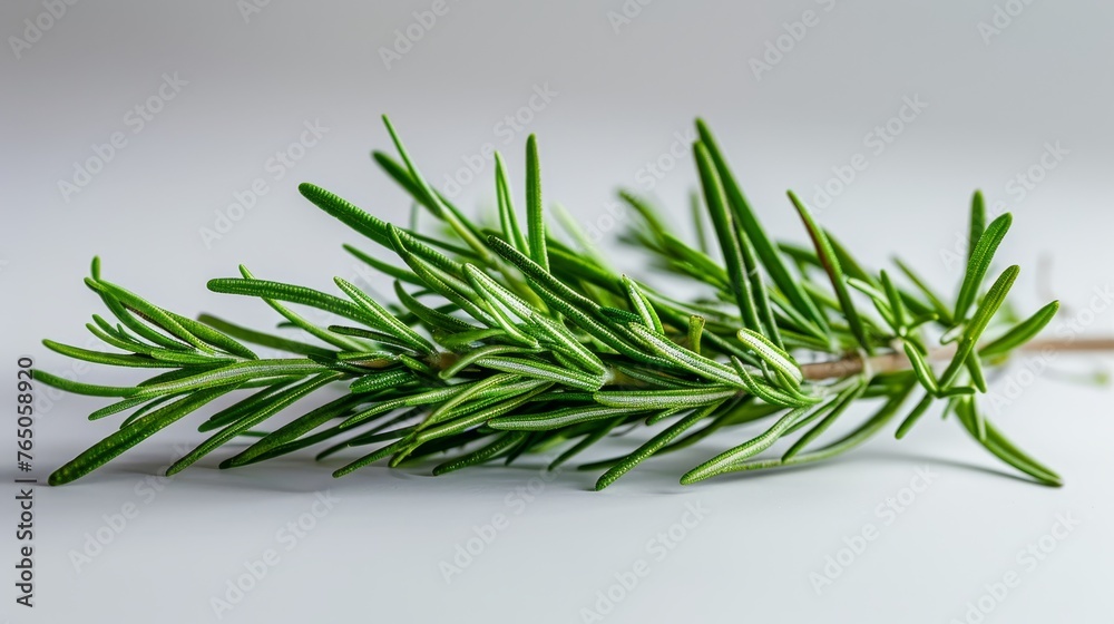 A crisp and detailed image highlighting the slender leaves of a rosemary branch, set against a soft, light grey background for a minimalistic appeal. A crisp and detailed image highlighting the slender leaves of a rosemary branch, set against a soft, light grey background for a minimalistic appeal.