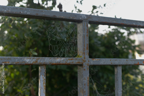 Warm golden autumn. The spider wove its web on the bars of the metal fence.