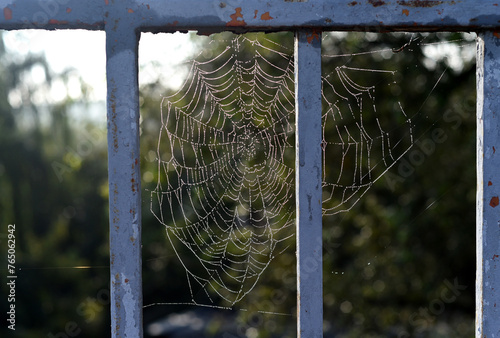 Warm golden autumn. The spider wove its web on the bars of the metal fence.