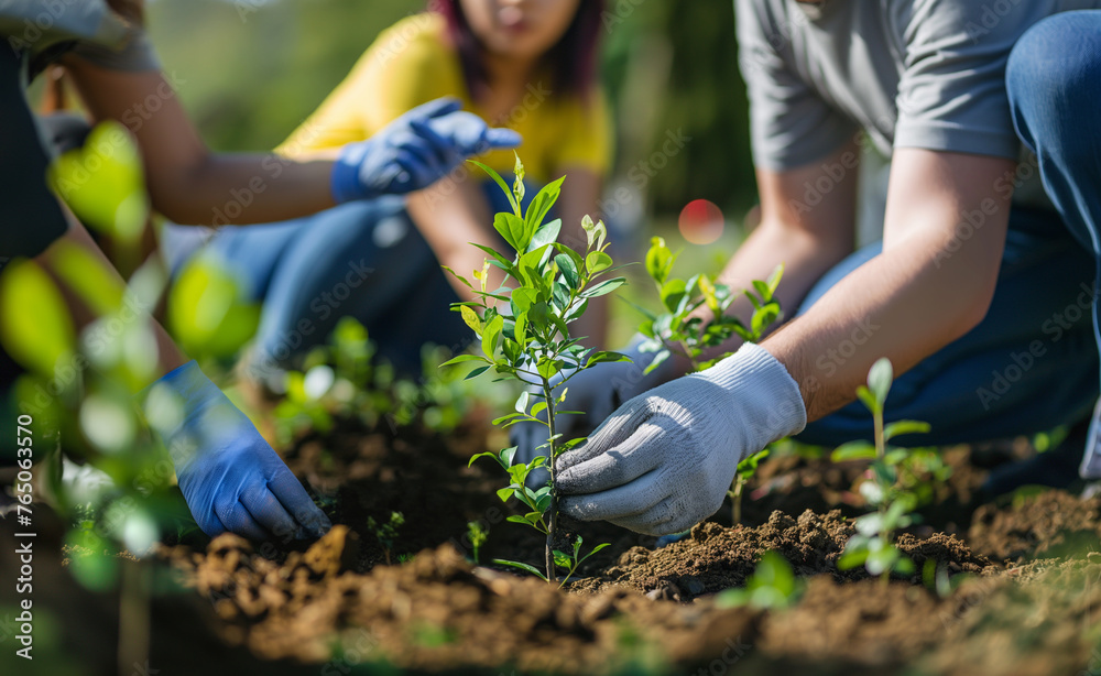 Fototapeta premium A group of people planting saplings in a garden on a sunny day, focusing on a young woman in the foreground.