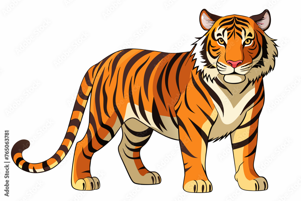 bengal tiger   full body ,   high detail, white background