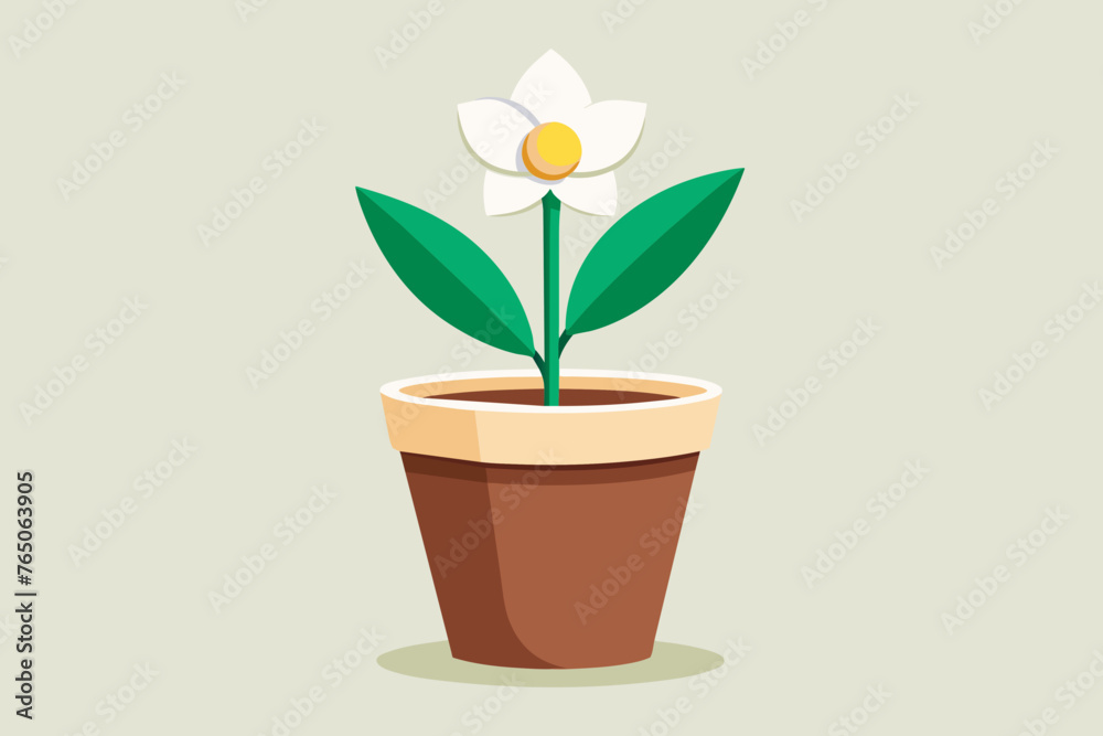 Fototapeta premium Flower in pot , Real style, white background