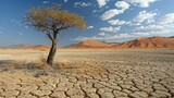 Desertification prevention measures