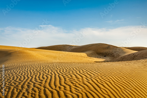 Dunes of Thar Desert. Sam Sand dunes  Rajasthan  India