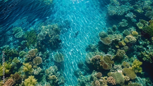 An aerial shot capturing the complex beauty of a coral reef ecosystem visible through the crystal-clear blue waters.