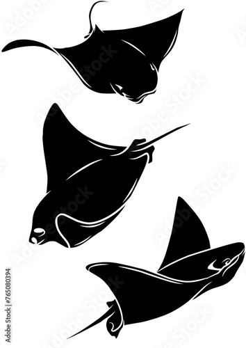 Vector illustration silhouette of stingray fish on white background collection