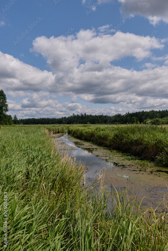 Lutovnia River in summer