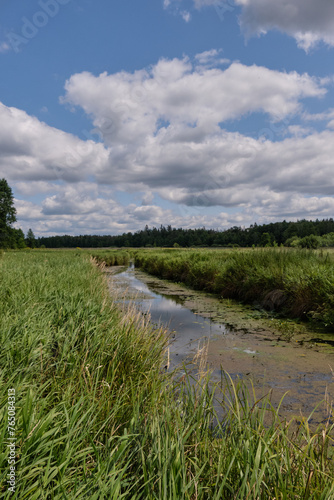 Lutovnia River in summer