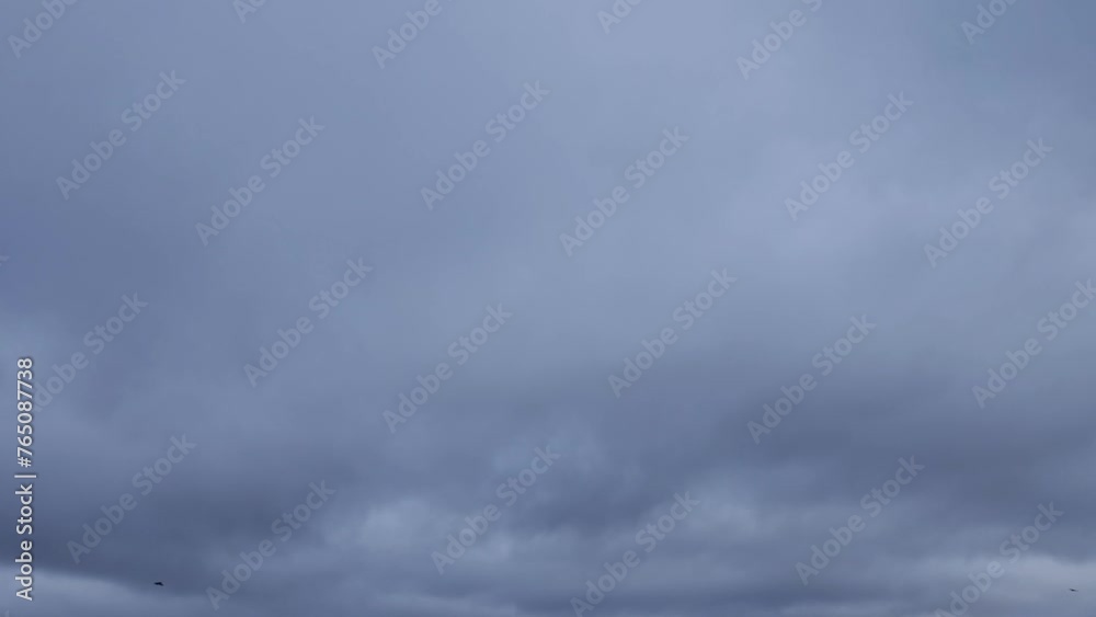 Dark sky with birds soaring Dark sky with birds soaring