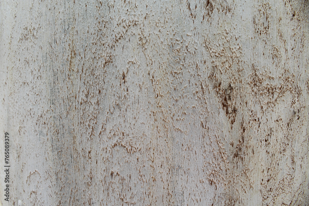 old wood texture, natural wood background.