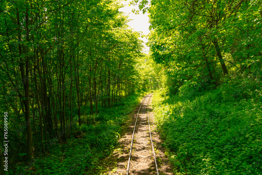 Tracks Through the Woods: Exploring the Railway in Summer Tracks Through the Woods: Exploring the Railway in Summer