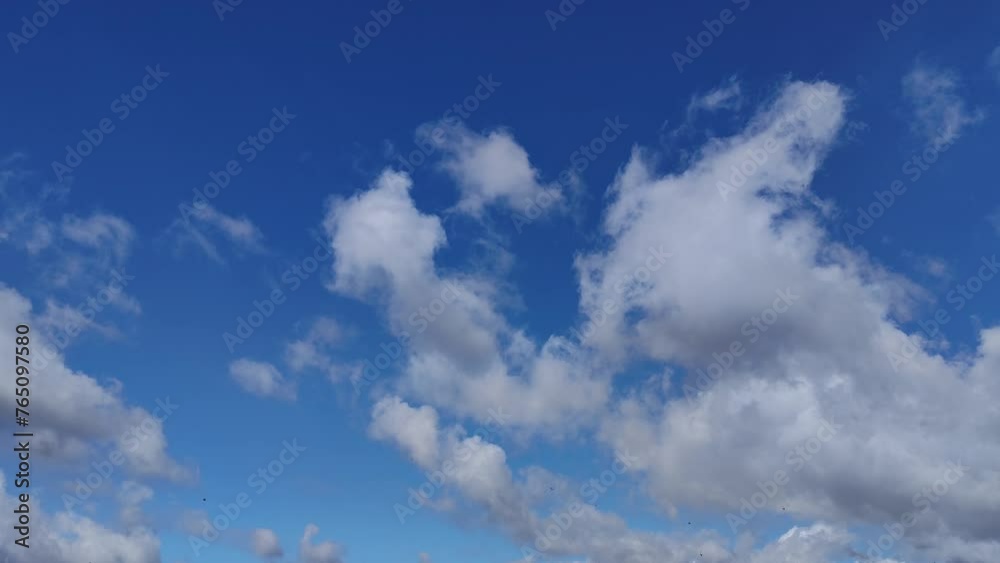 Birds flying through the sky with curious and beautiful clouds in the afternoon Birds flying through the sky with curious and beautiful clouds in the afternoon