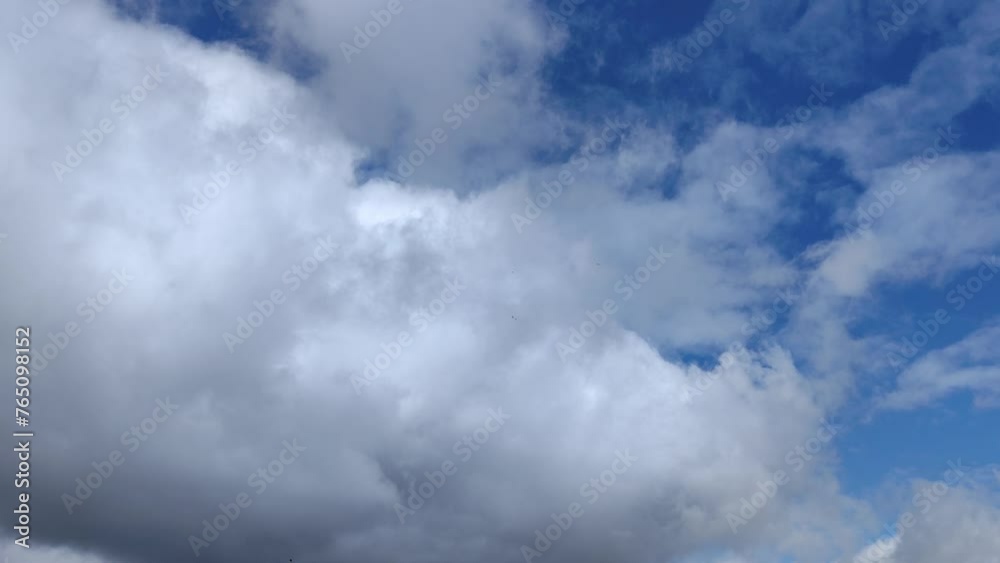 Spectacular landscape with birds flying around the giant cumulonimbus in the afternoon Spectacular landscape with birds flying around the giant cumulonimbus in the afternoon