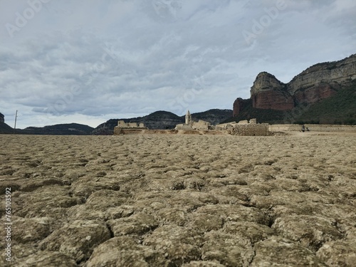 Swamp in Sau reservoir  Catalonia  Spain