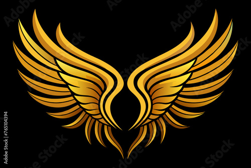 Golden wings vector illustration 