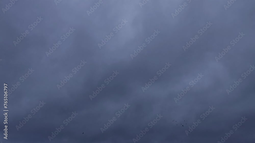 The birds fly without fear through the stormy sky The birds fly without fear through the stormy sky