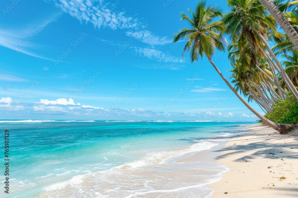 Tropical Paradise: White Sands and Palm Trees by the Ocean