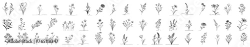 collection of wild field flowers hand-drawn with thin line in minimalist doodle style, black vector