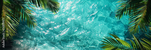 Tropical Paradise: Crystal Clear Water Surrounded by Palm Fronds