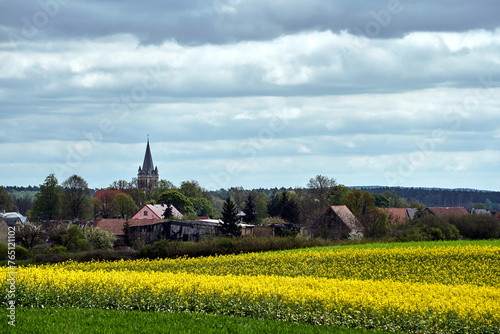 rapeseed fields, country houses and church bell tower during spring