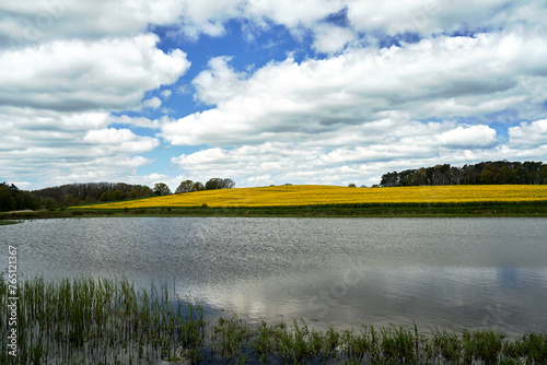 rural landscape with lake and blooming rapeseed on the hill in spring