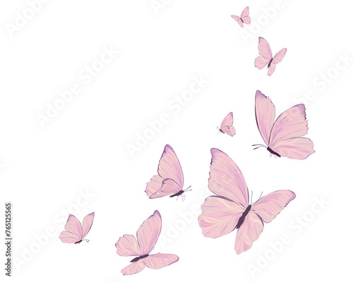 pink butterfly design